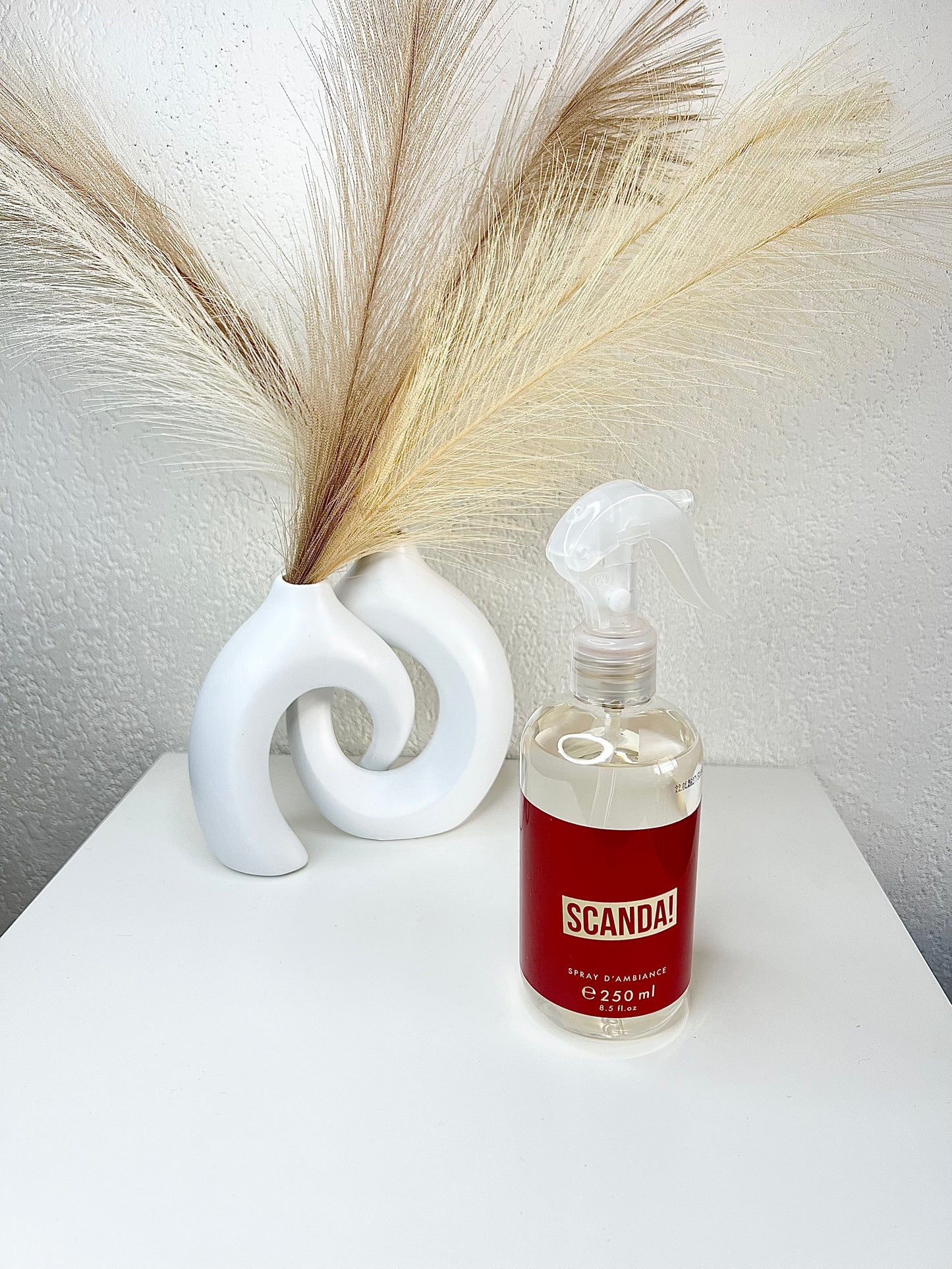 Spray d’intérieur Scanda!