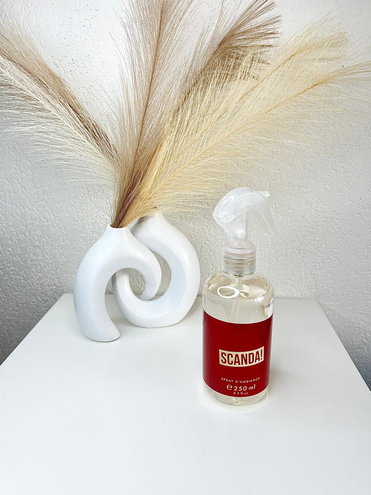 Spray d’intérieur Scanda!