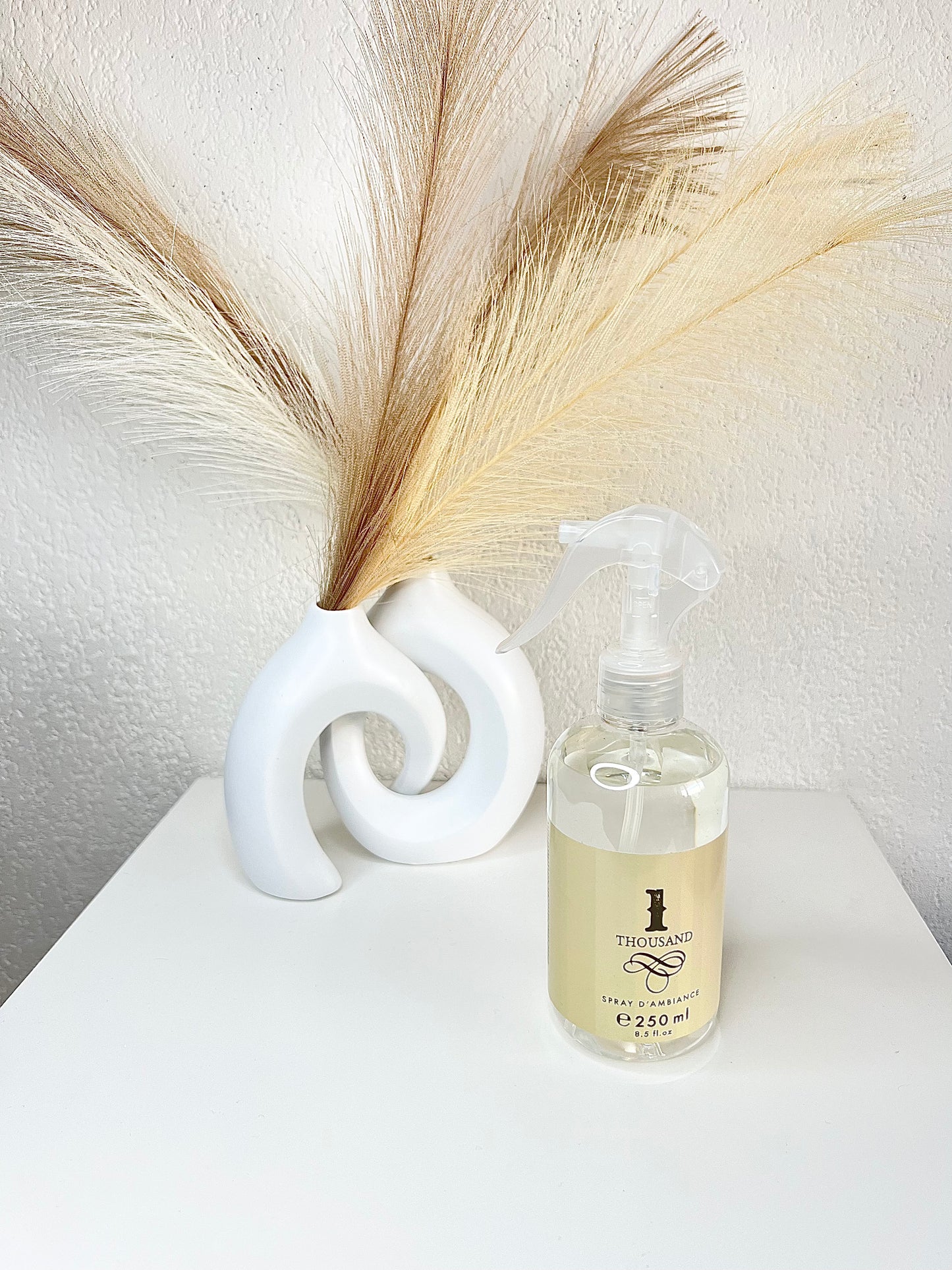 Spray d’intérieur 1 thousand